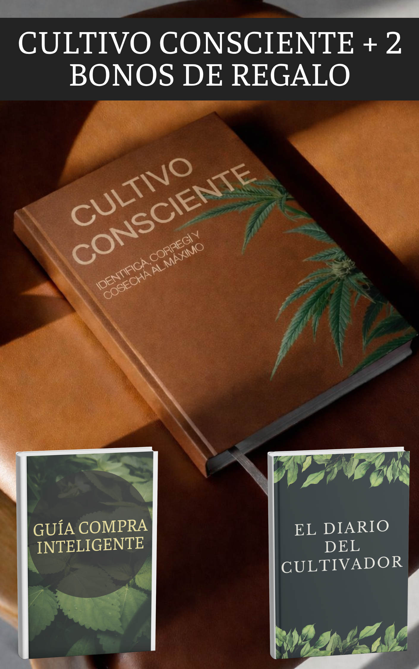 Cultivo consciente: Identificá, corregí y cosechá al máximo